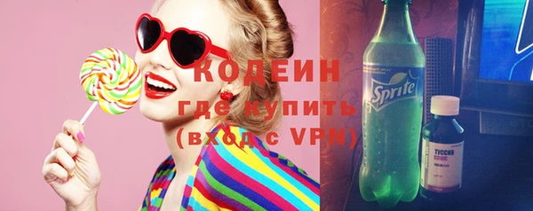 индика Михайловск