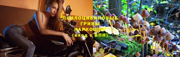 первитин Новокубанск