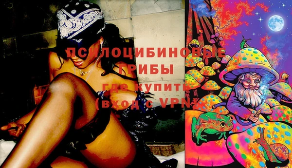 эйфоретик Нязепетровск