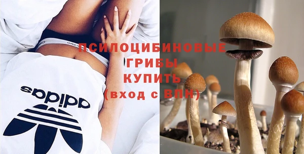 эйфоретик Нязепетровск