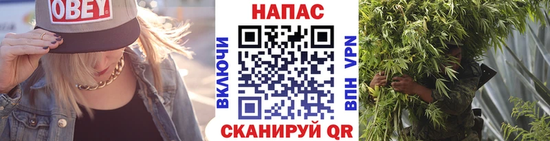 дарнет шоп  Абдулино  Марихуана планчик 